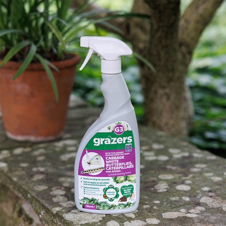 Grazers wildlife friendly cabbage white butterflies, caterpillars and aphids deterrent spray