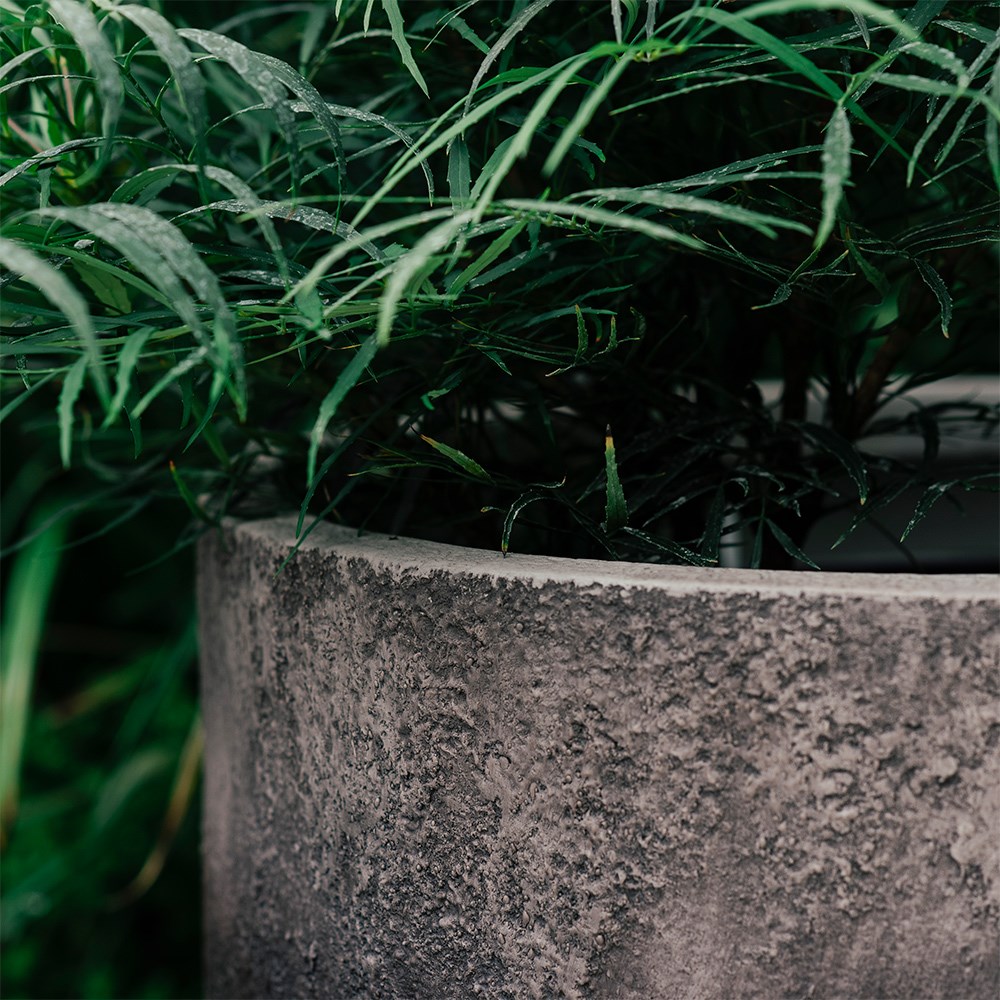 Textured ombre bowl planter - grey