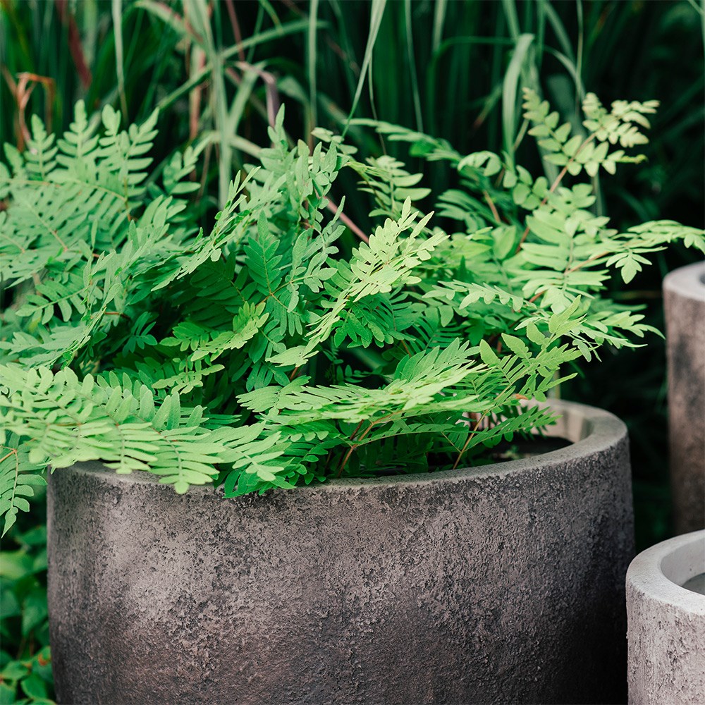 Textured ombre bowl planter - grey