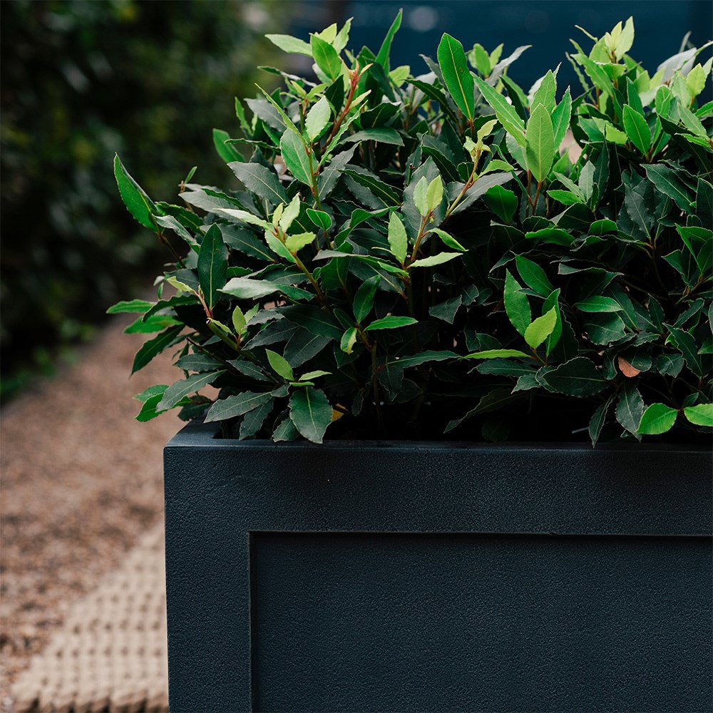 Rectangular trough planter