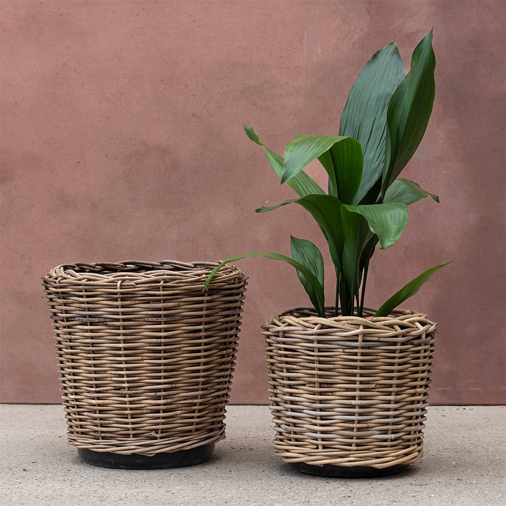 Round rattan large plant pot 