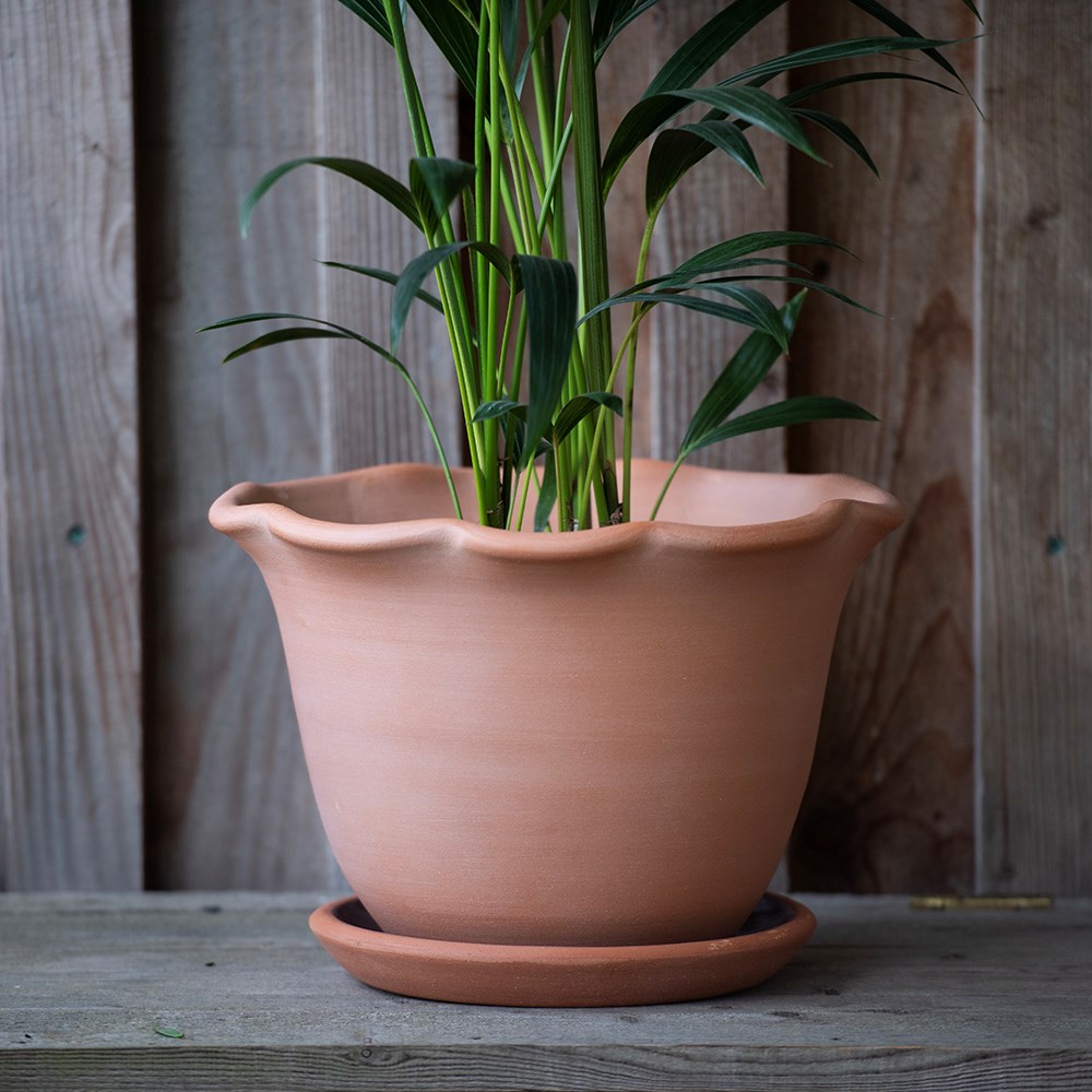 Terracotta ruffle pot with glazed saucer 
