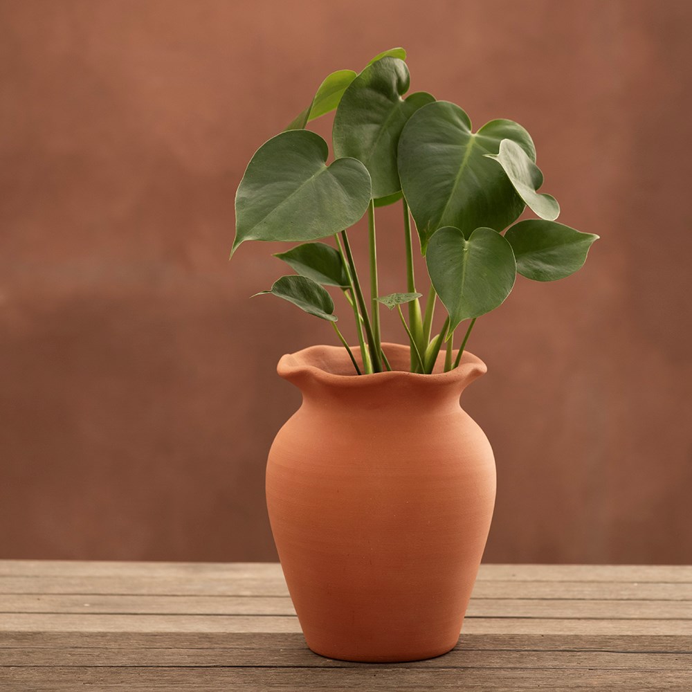 Terracotta ruffle vase with glazed interior