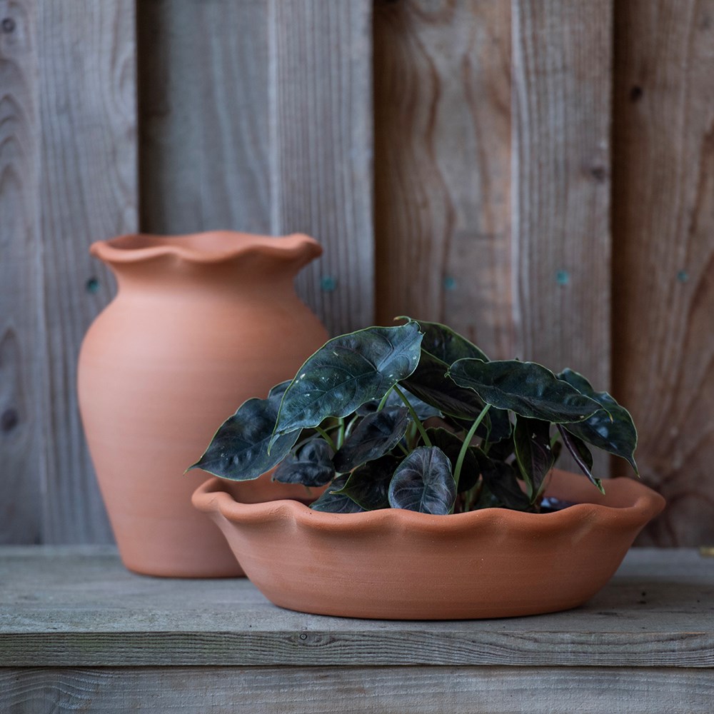 Terracotta ruffle bowl with glazed interior 