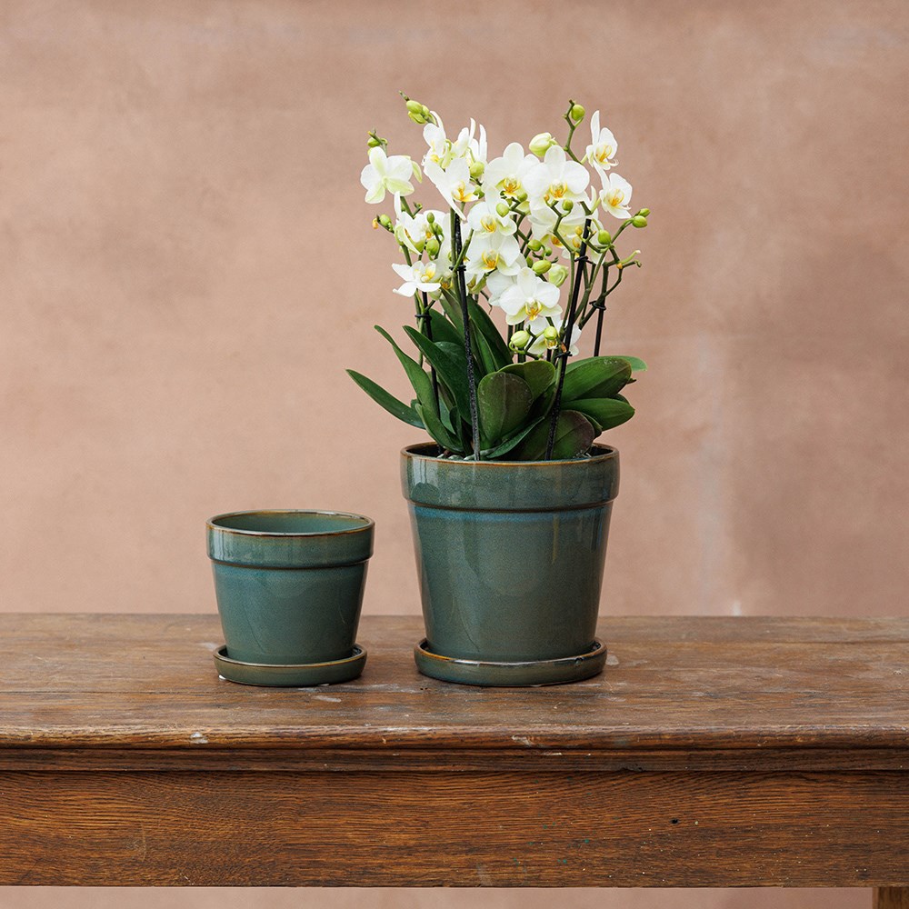 Reactive glaze plant pot with saucer - green 