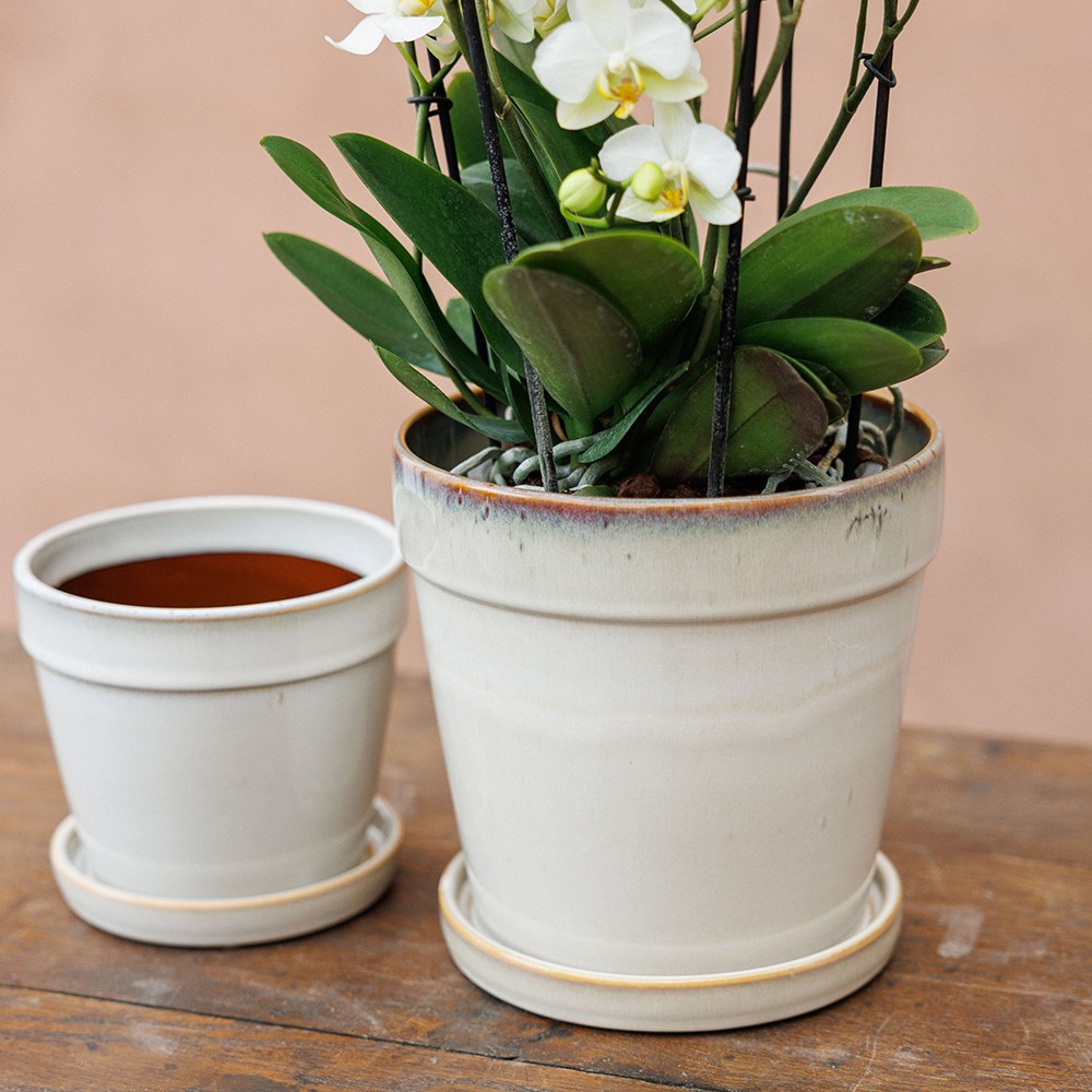 Reactive glaze plant pot with saucer - off white