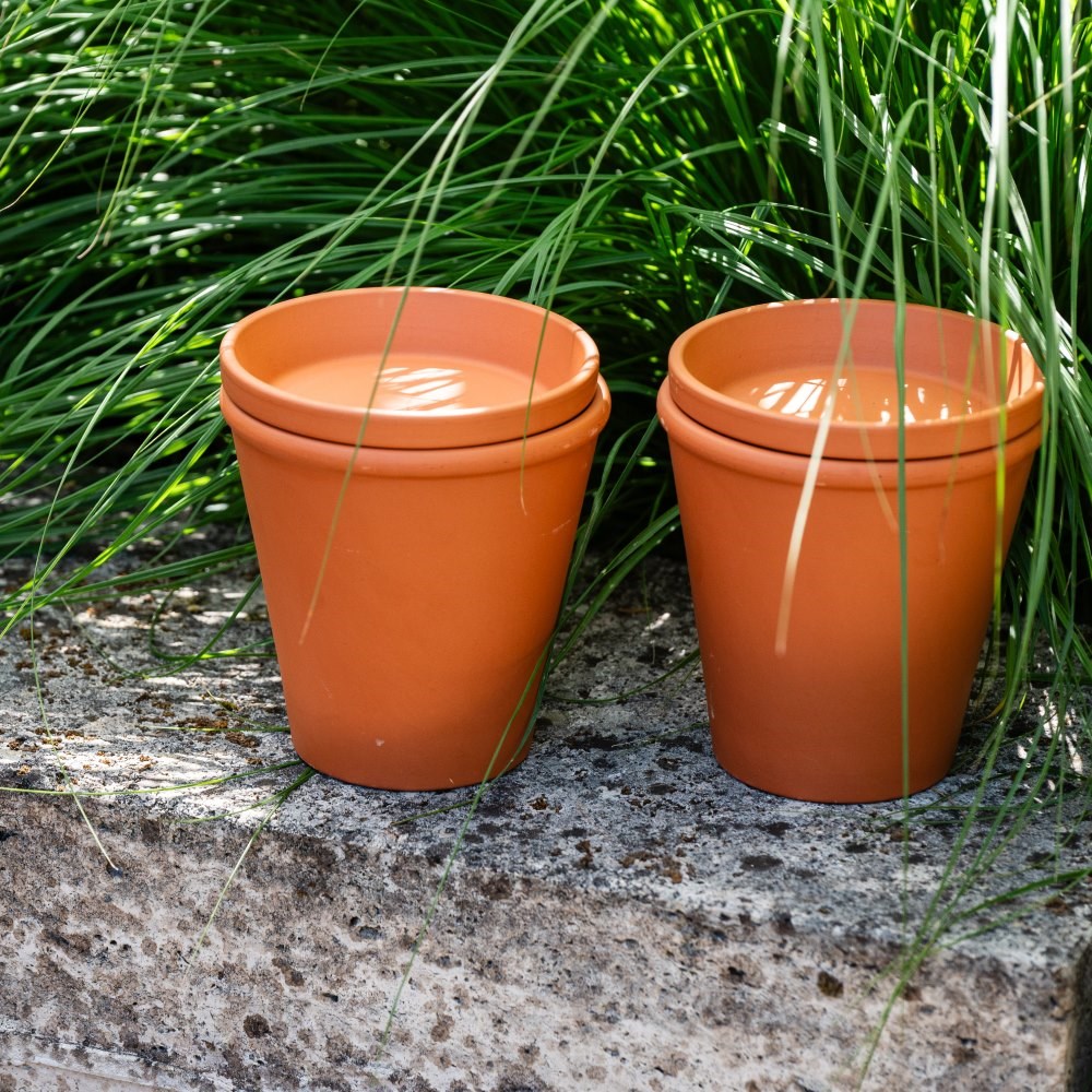 Terracotta pot watering olla with lid - set of 2