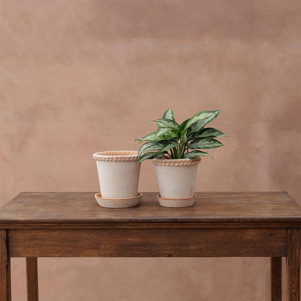 Bergs woven edge plant pot & saucer - terracotta