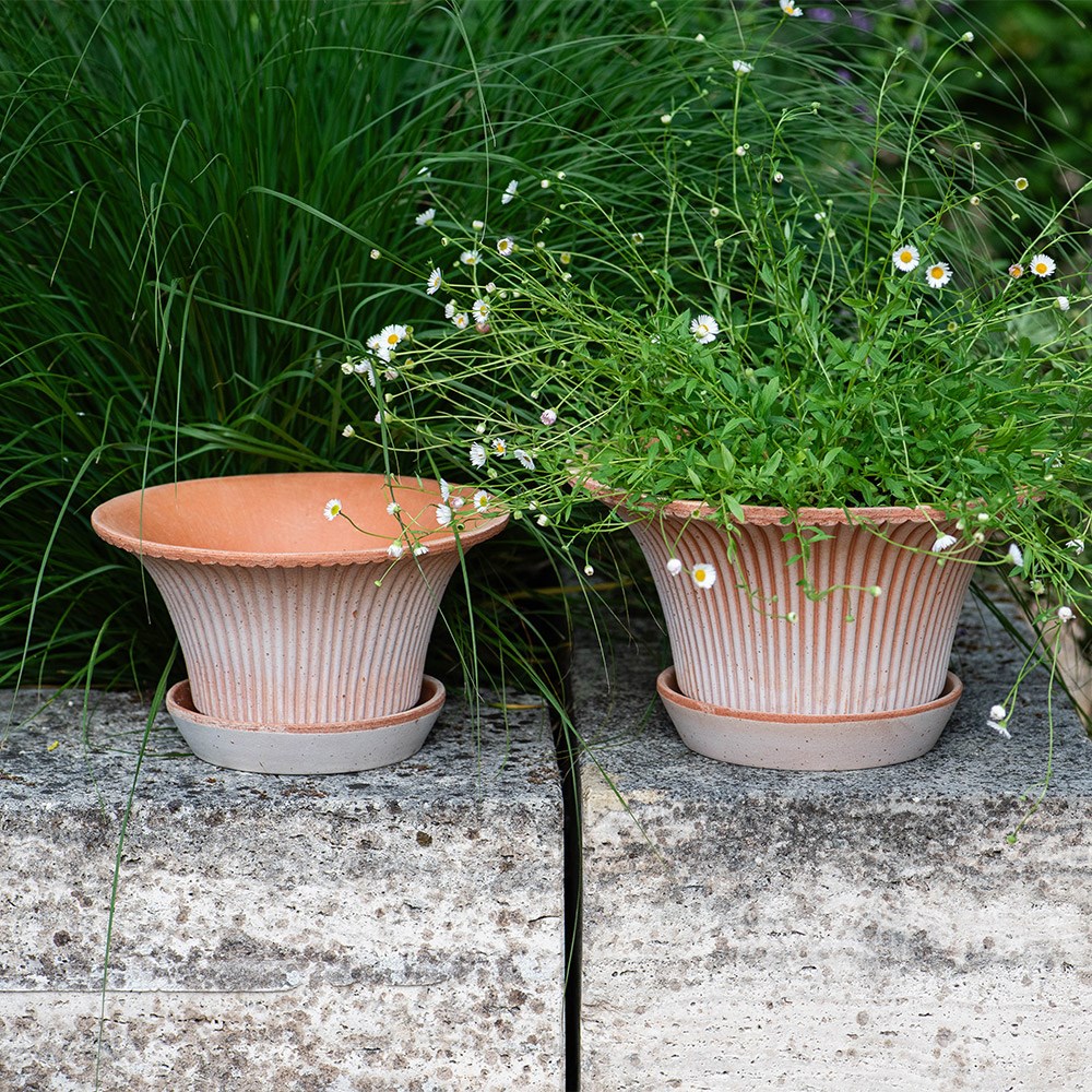 Bergs flared ribbed terracotta pot & saucer