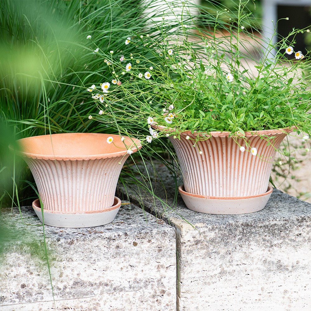 Bergs flared ribbed terracotta pot & saucer
