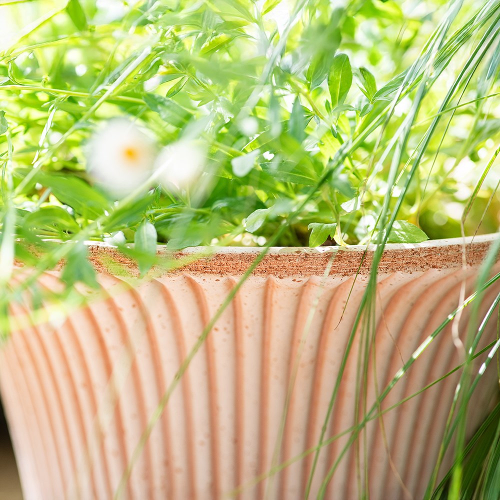Bergs flared ribbed terracotta pot & saucer