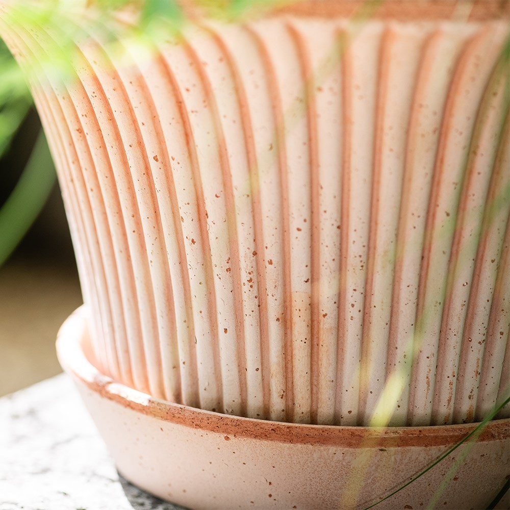 Bergs flared ribbed terracotta pot & saucer