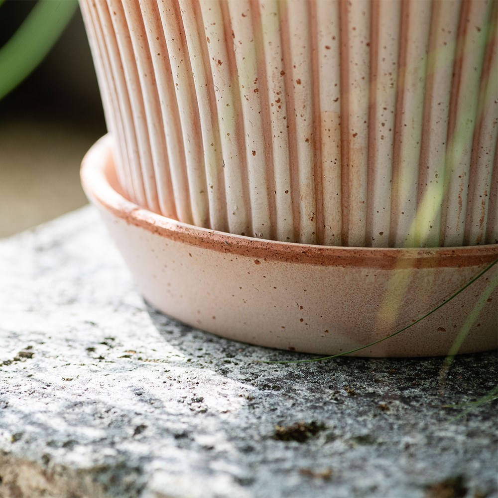 Bergs flared ribbed terracotta pot & saucer