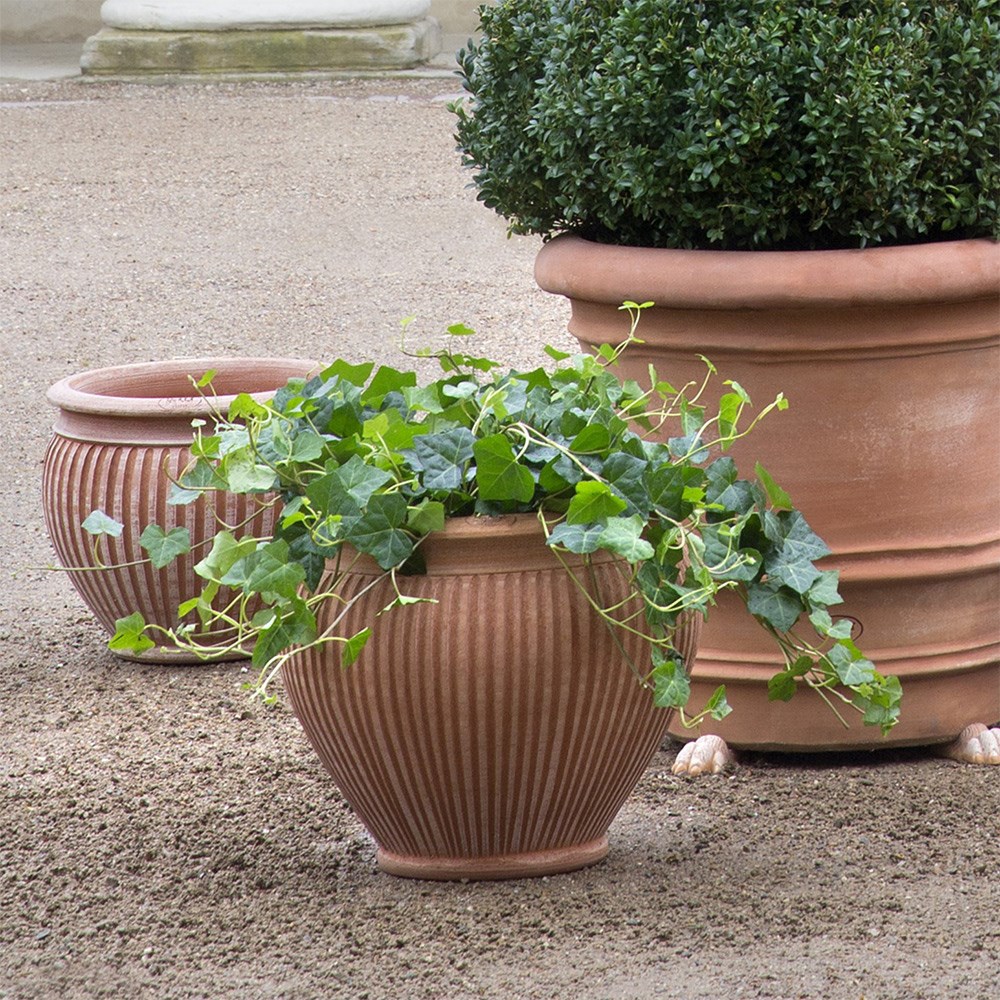 Bergs curved ribbed terracotta pot