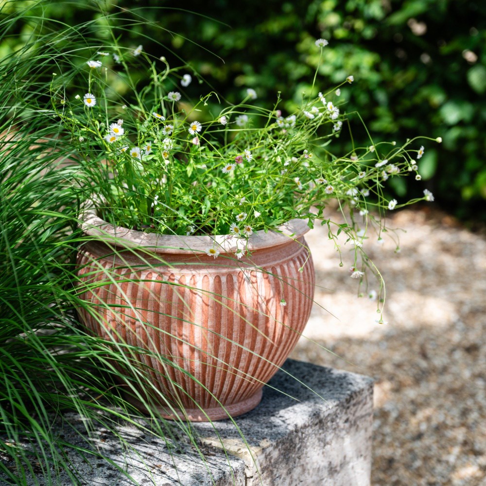 Bergs curved ribbed terracotta pot