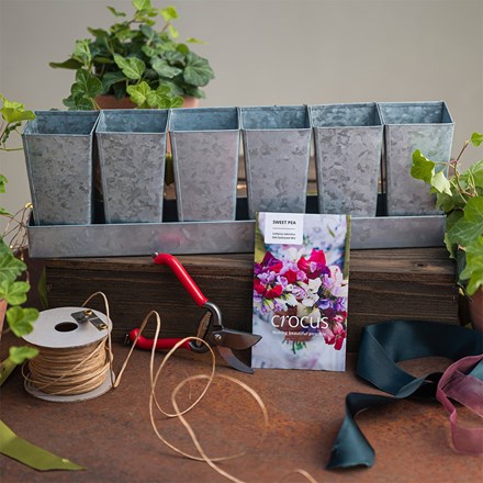 The sweet pea grower’s kit