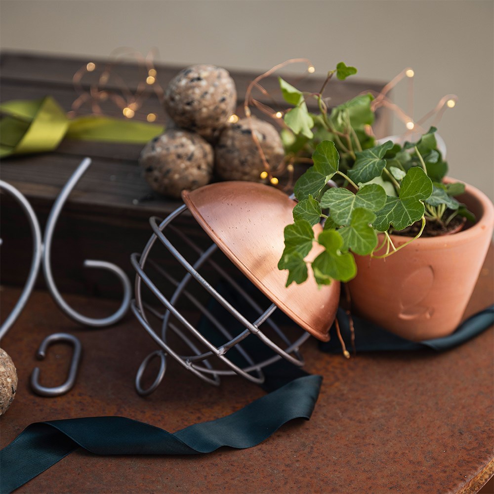 Garden bird gift set