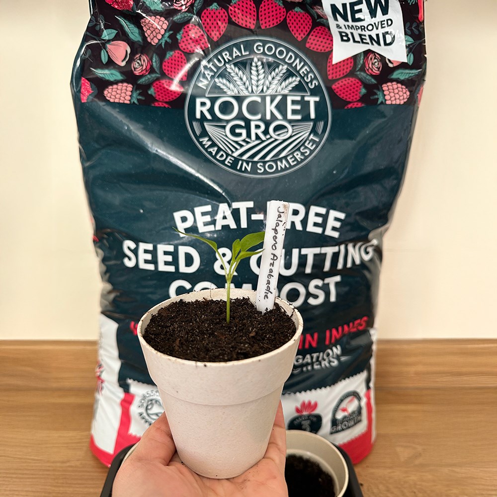 RocketGro seed and cutting compost with John Innes (stage 1)