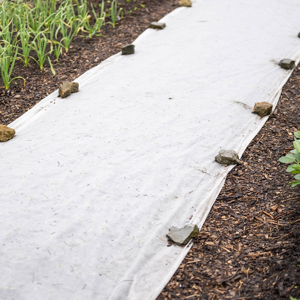 Biofleece plastic free plant fleece - 18gsm