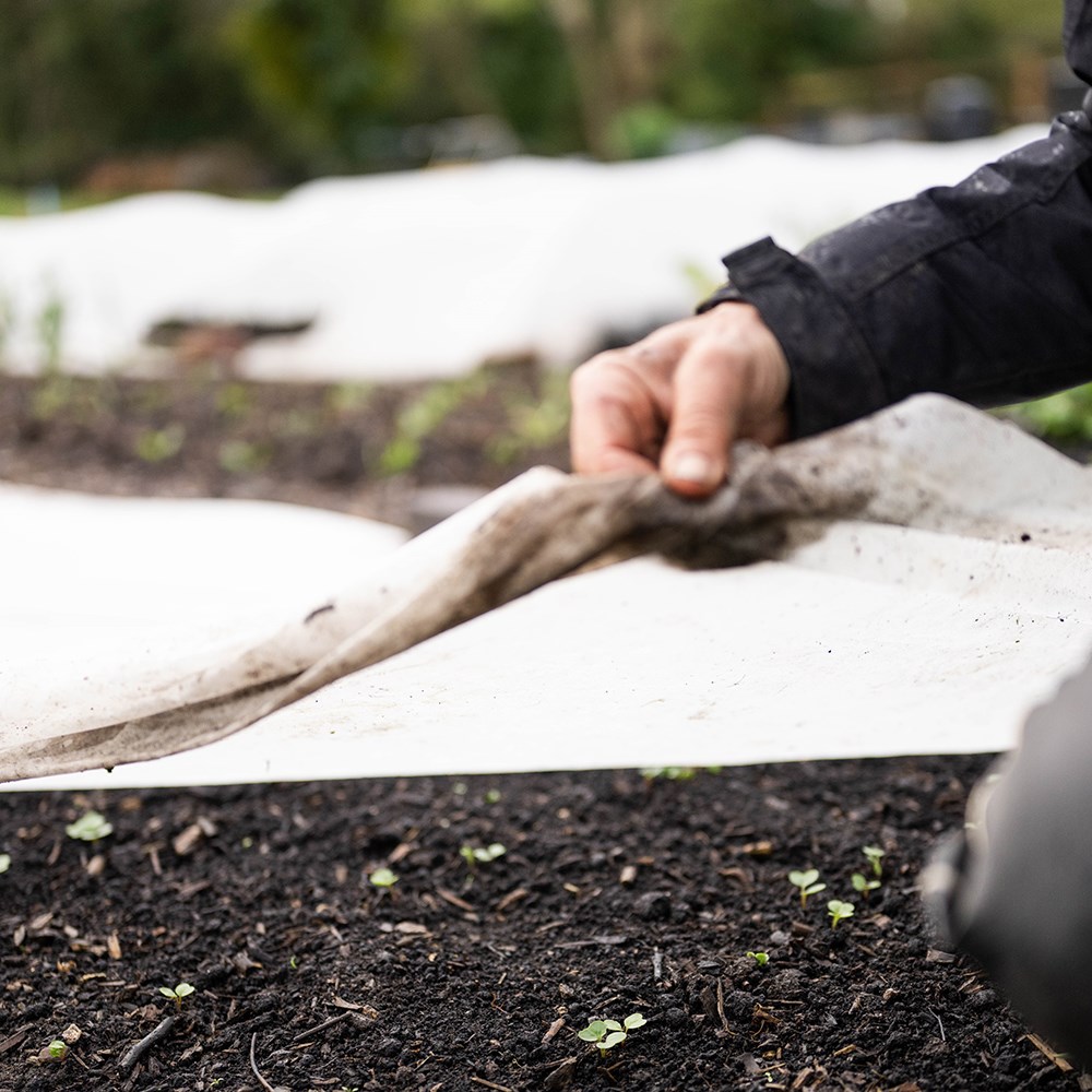 Biofleece plastic free plant fleece - 18gsm