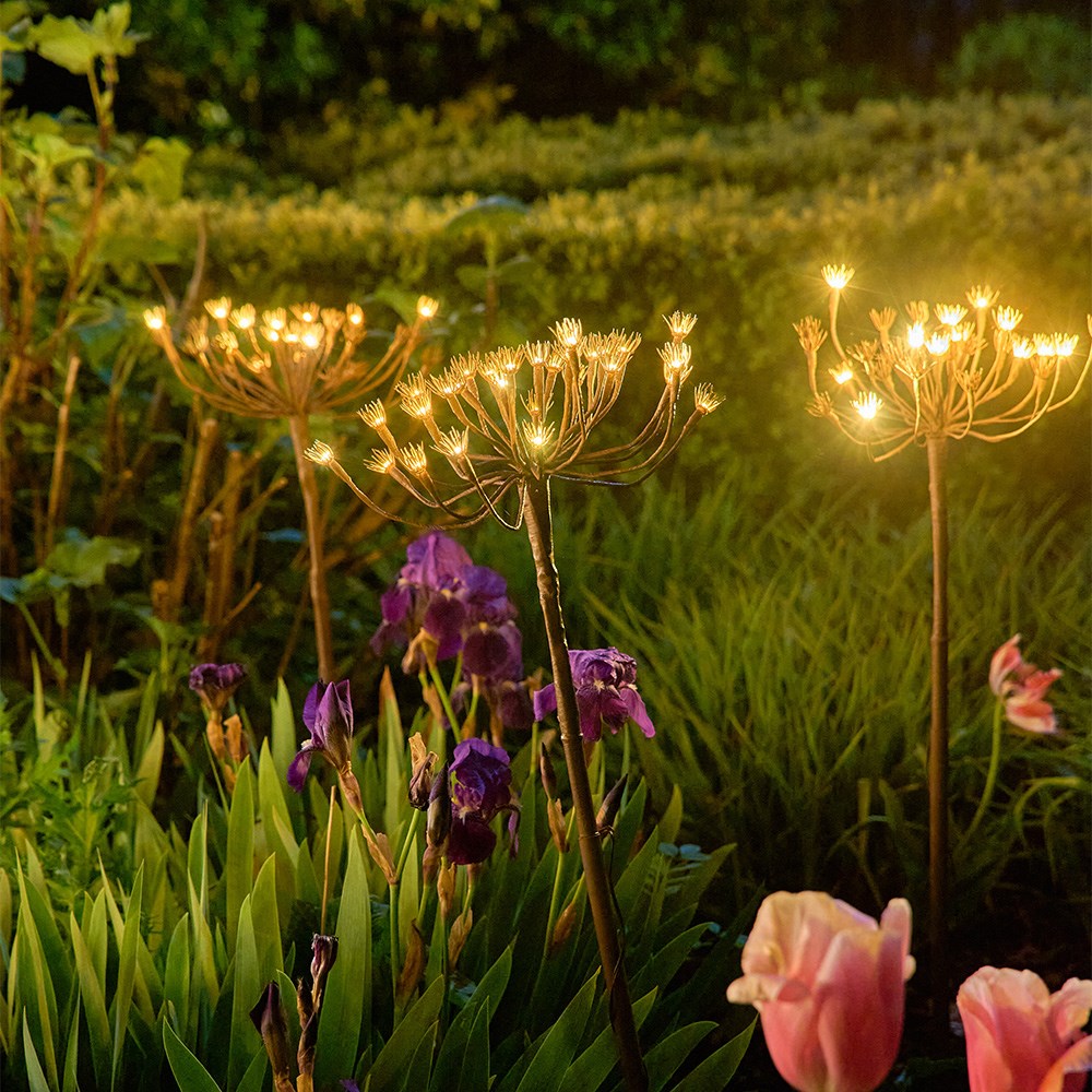 Solar wild fennel branch light