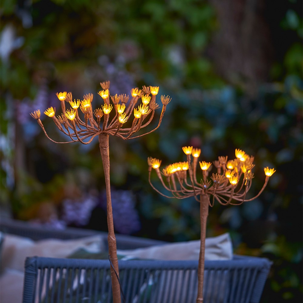 Solar wild fennel branch light