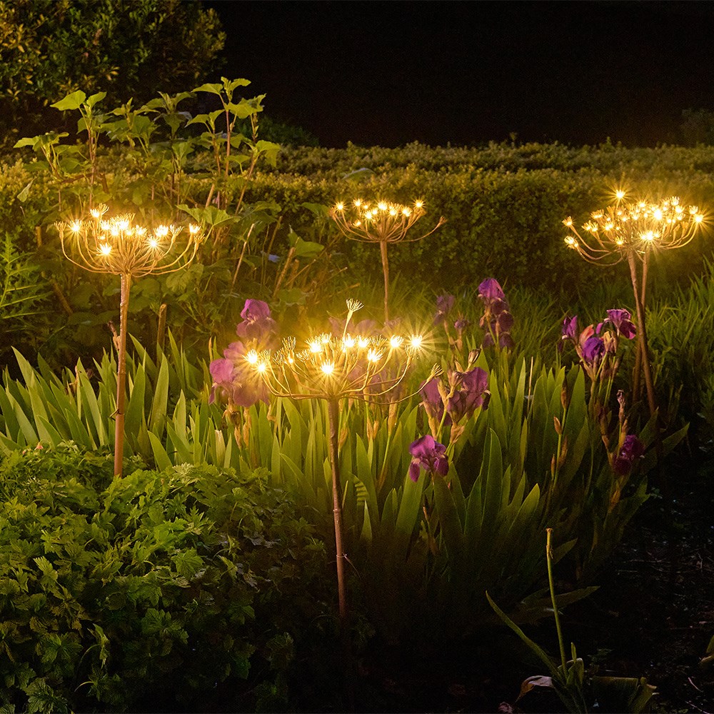 Solar wild fennel branch light
