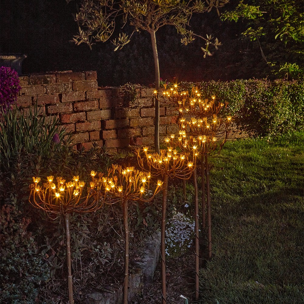 Solar wild fennel branch light