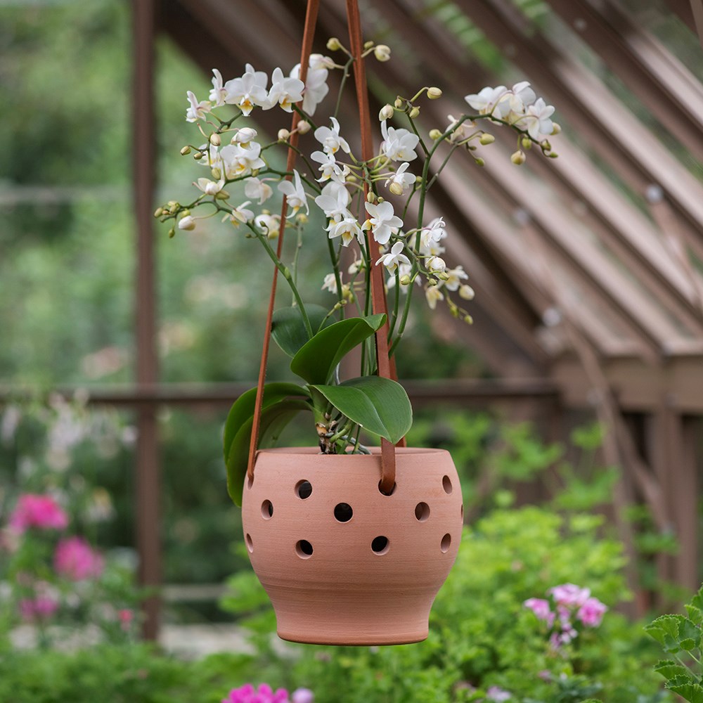 Vase terracotta orchid pot