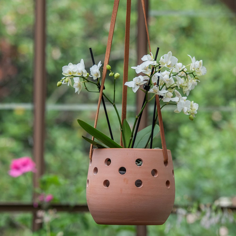 Bowl terracotta orchid pot