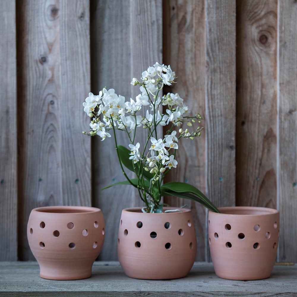 Terracotta orchid pot
