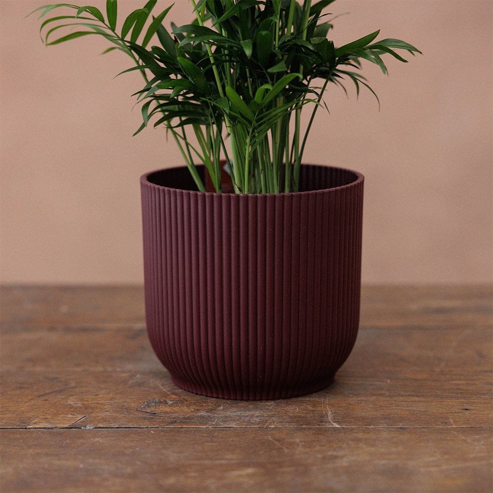 Round ribbed plant pot - burgundy