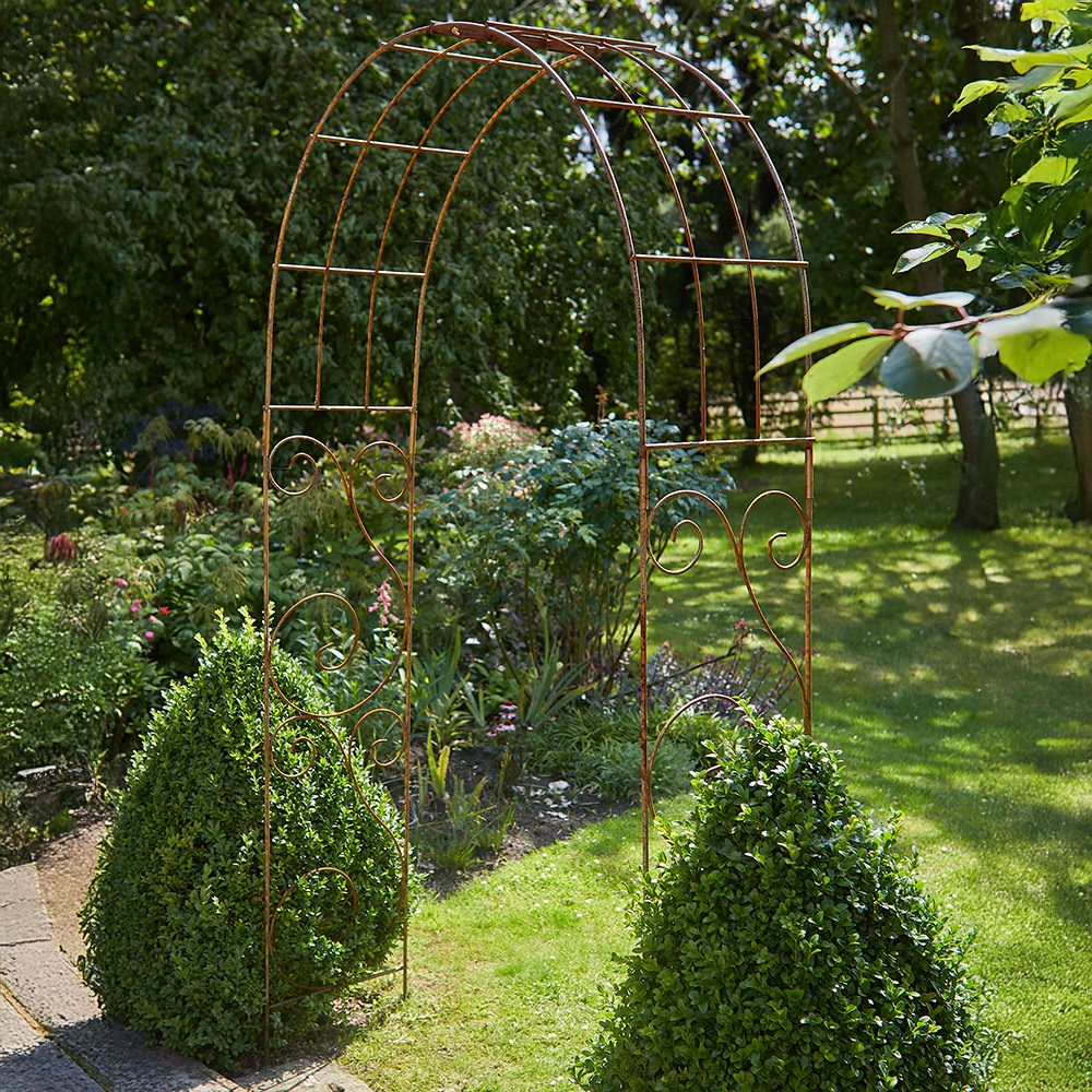 Rambling rose garden arch - rust