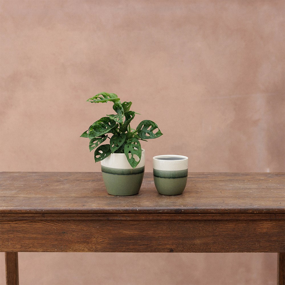 Glazed ombre plant pot - green