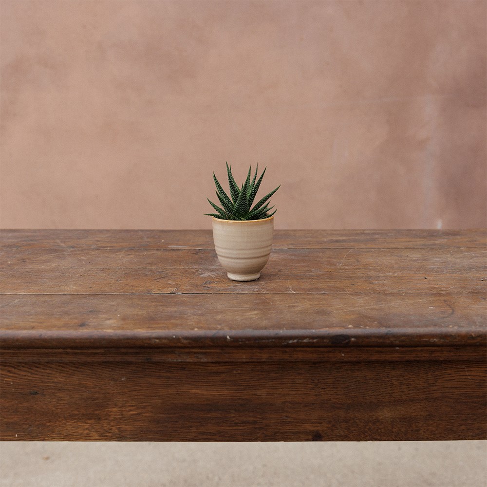Small glazed plant pot - ivory