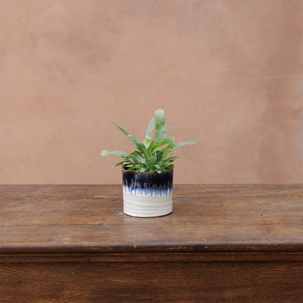 Wonky mini ombre plant pot - blue & white