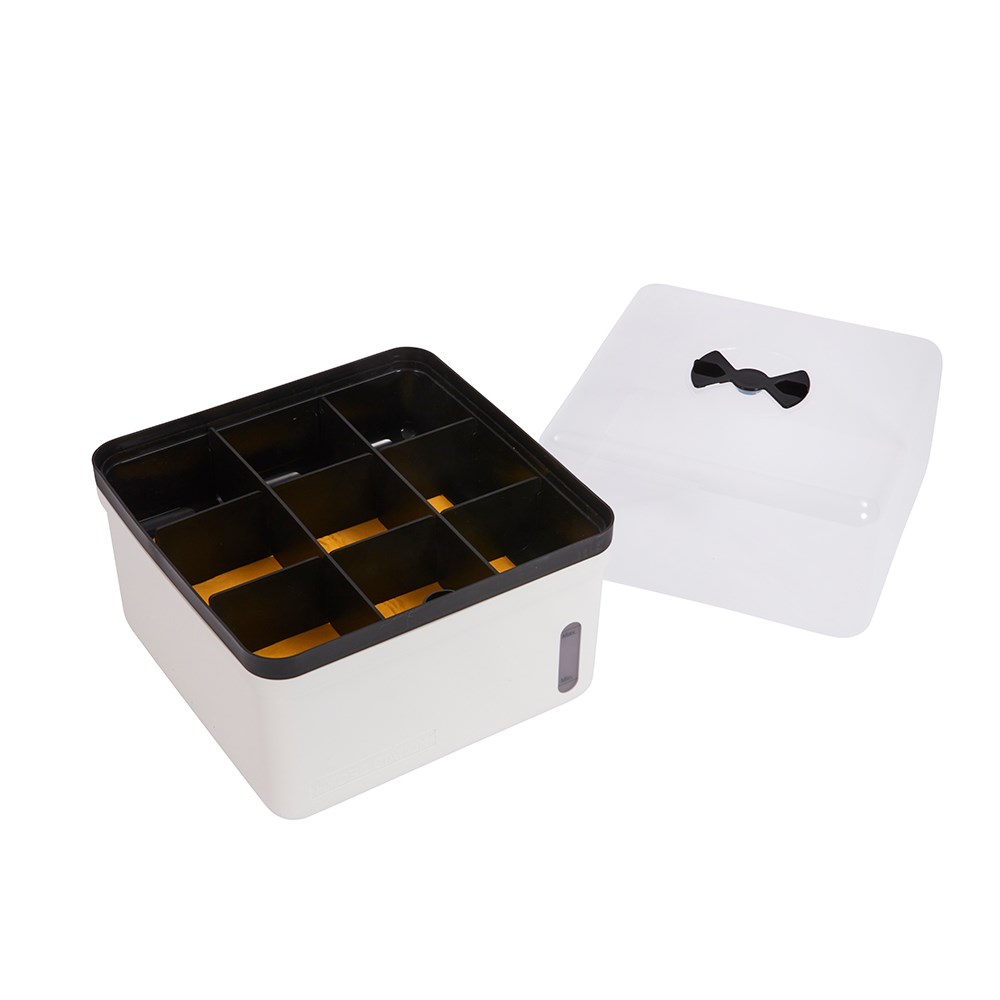 Self-watering kitchen propagator - white