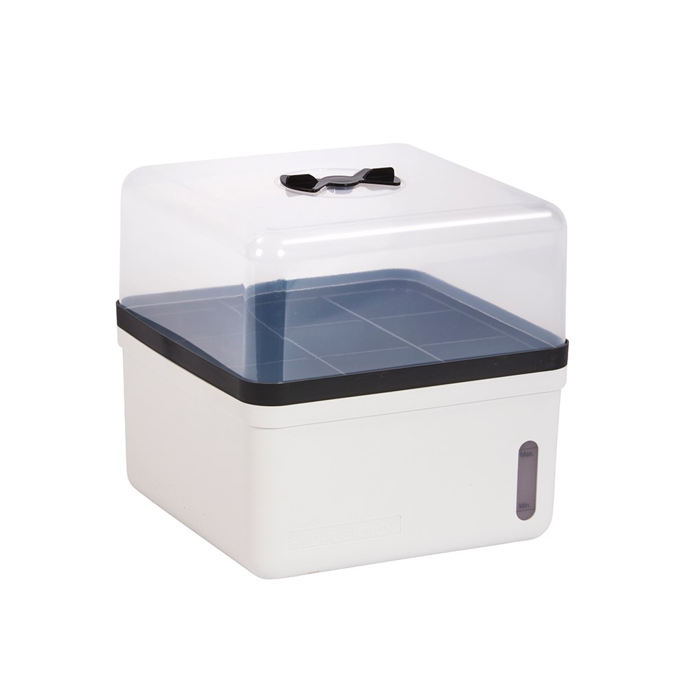 Self-watering kitchen propagator - white