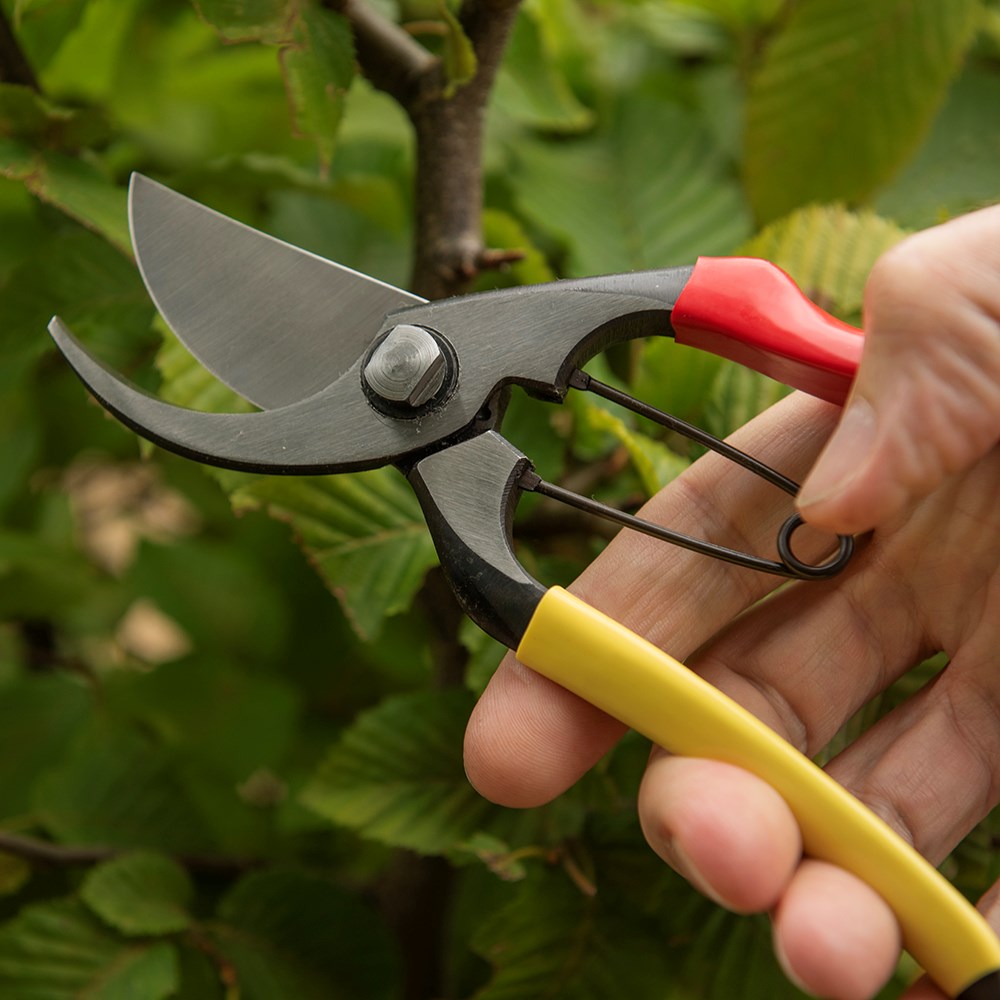 Niwaki Tobisho SR-1 secateurs
