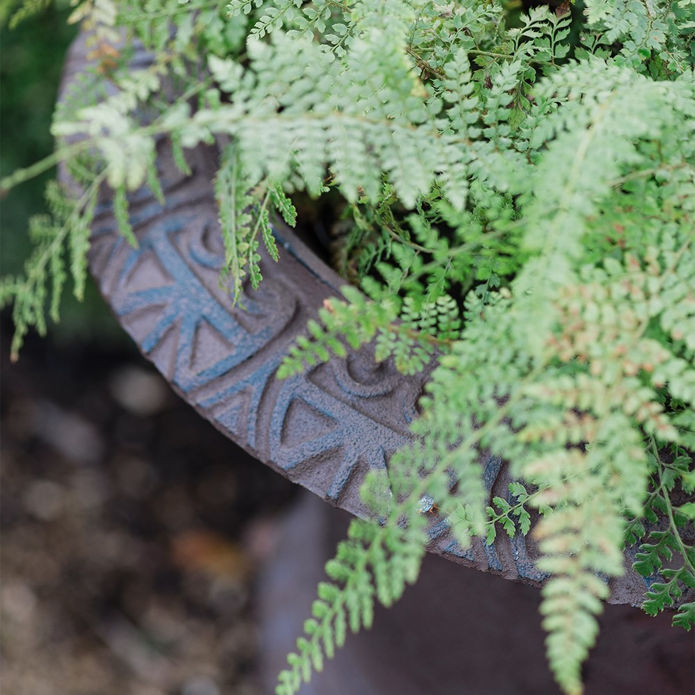 Cast iron urn planter