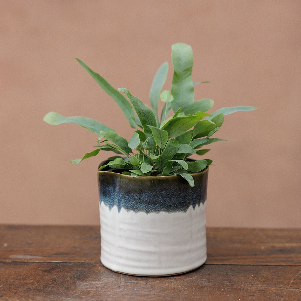 Wonky mini ombre plant pot - set of 3