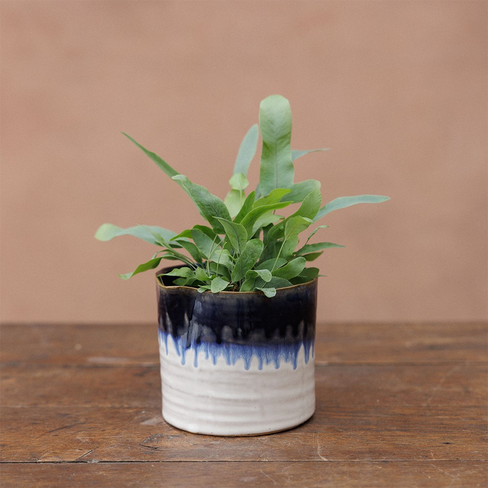 Wonky mini ombre plant pot - set of 3