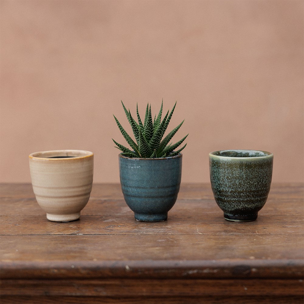 Small glazed plant pots - set of 3