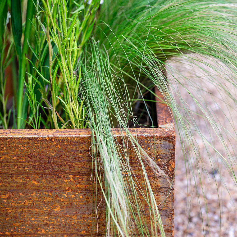 Corten steel trough planter