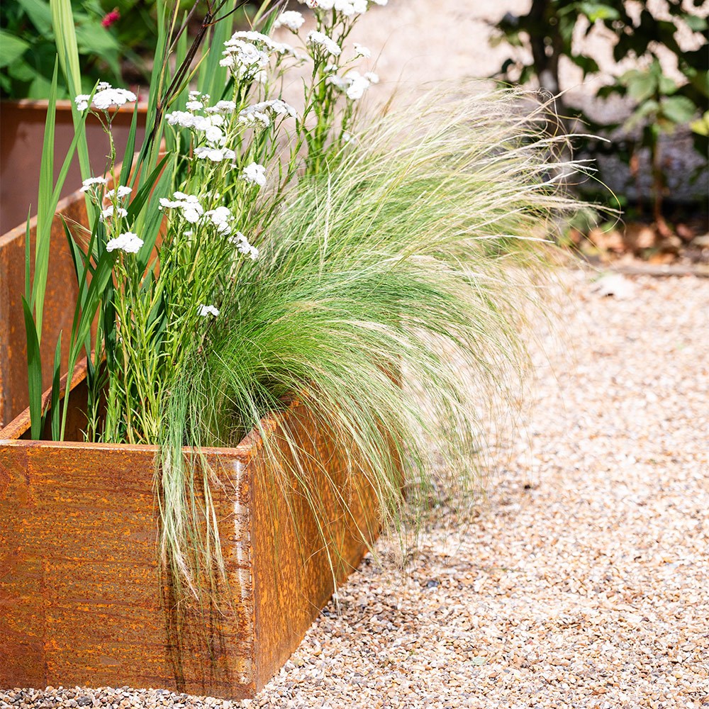 Corten steel trough planter