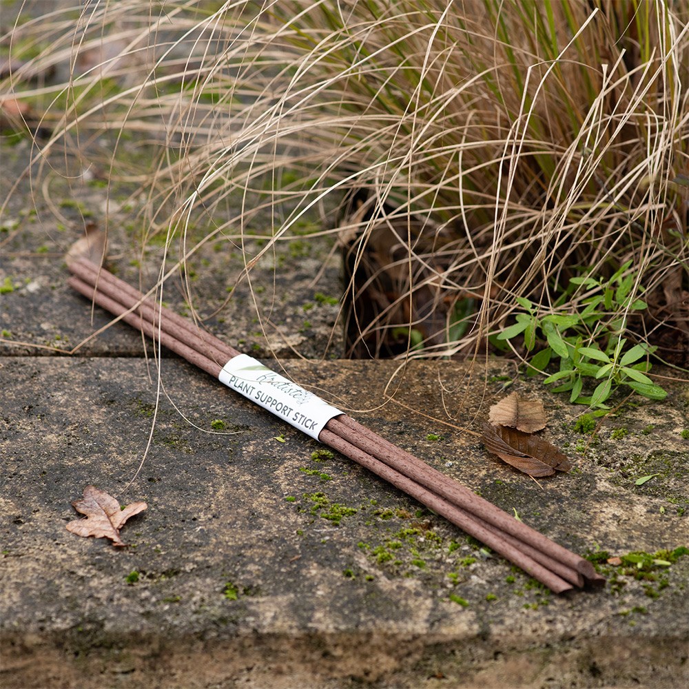 Plant support sticks
