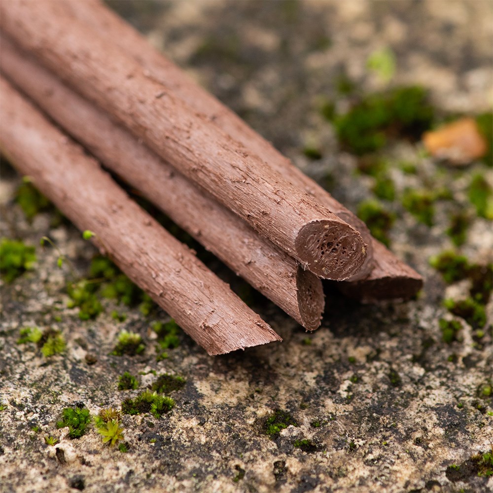 Plant support sticks