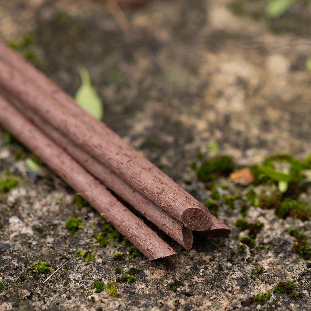 Plant support sticks