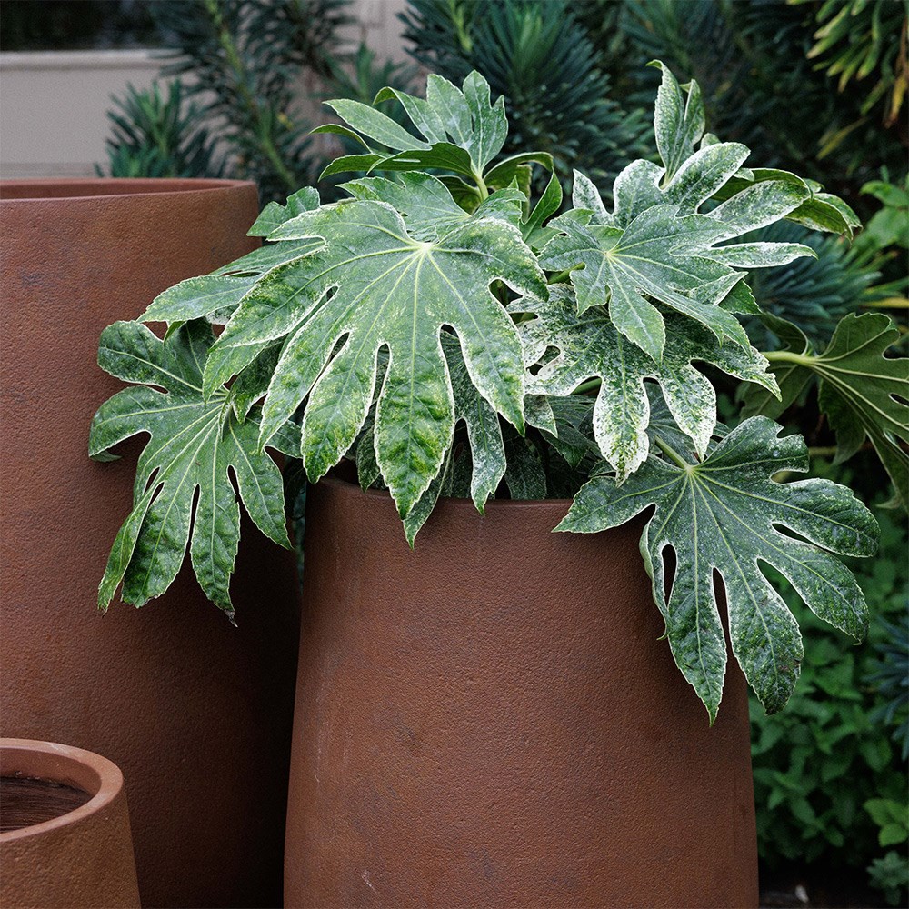 Set of three column planters in rust brown