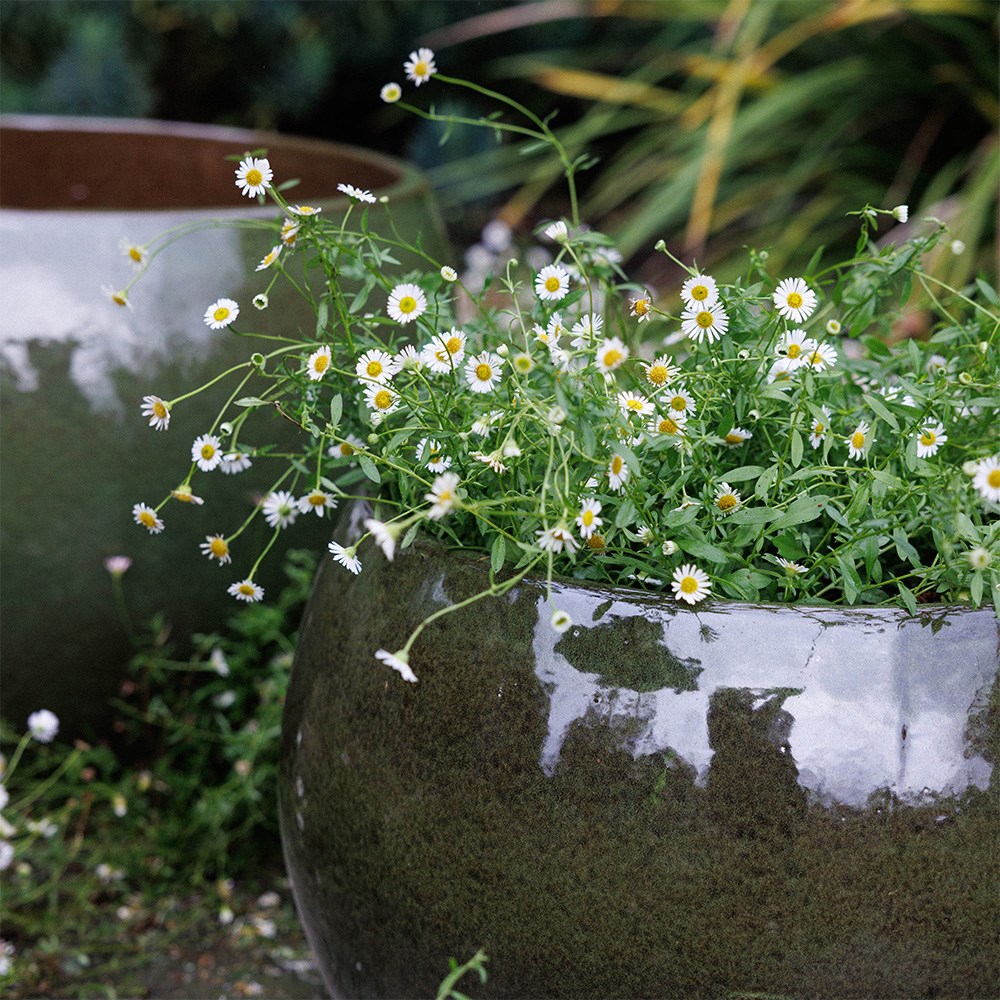 Deep bowl planter - khaki